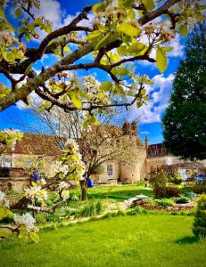 CetonにあるManoir de La Barre Cetonの木と建物のある緑の庭