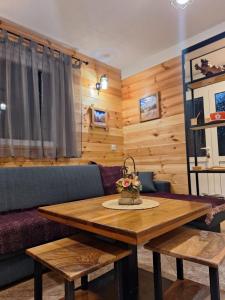 a living room with a table and a couch at Apartments Shine in Kola&scaron;in