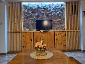 a vase of flowers on a table with a television at Apartments Shine in Kolašin