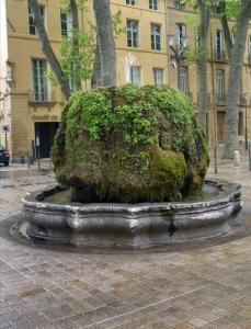 a large green bush sitting in front of a building at Appart. avec terrasse au cœur du centre historique in Aix-en-Provence