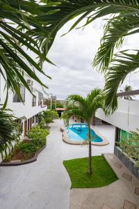 un patio con piscina y una palmera en Hotel Pelican Bay, en Puerto Ayora