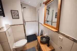 a bathroom with a toilet and a mirror at Tiny House mit Wohnfass in Diez