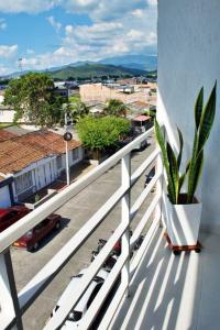 d'un balcon avec une plante en pot et une vue sur la ville. dans l'établissement Acogedor Apartamento en Buga, à Buga