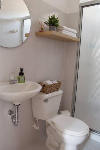 La salle de bains est pourvue de toilettes, d'un lavabo et d'un miroir. dans l'établissement Acogedor Apartamento en Buga, à Buga