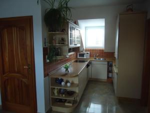 eine Küche mit einer Spüle und einer Arbeitsplatte in der Unterkunft Apartment Duhová in Franzensbad