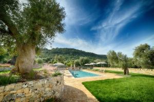 a swimming pool in a yard with a stone wall at Masseria Morrone in Ostuni