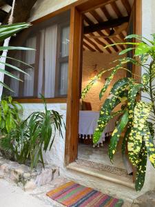 Zahrada ubytování Mawimbi Boutique Hotel