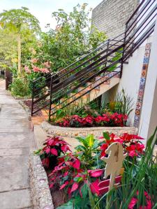a garden with pink flowers next to a staircase at Casa Amelia in San Blas