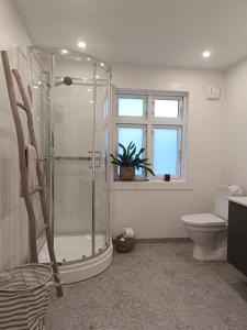 baño con ducha y aseo y ventana en Charming house in Ulsteinvik with free parking, en Ulsteinvik
