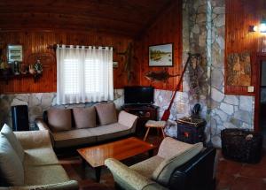 un soggiorno con divani, TV e camino di Forest Home a Golubovci