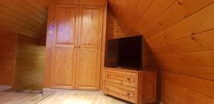 Cette chambre dispose d'une télévision sur un mur en bois. dans l'établissement Pokoje Apartamenty Pod Limbą, à Zakopane