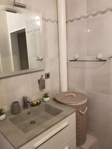 ein Bad mit einem Waschbecken und einer Dusche in der Unterkunft Appartement COSY entièrement équipé in Toulouse