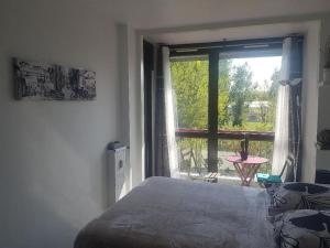 ein Schlafzimmer mit einem Bett und einem großen Fenster in der Unterkunft Appartement COSY entièrement équipé in Toulouse