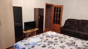 Μια τηλεόραση ή/και κέντρο ψυχαγωγίας στο Apartament Central +3 φωτογραφίες