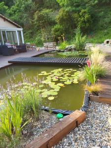 a pond with lily pads in a garden at L'eau douce in Gasques