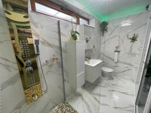 a white bathroom with a shower and a toilet at Studio in Panoramic House in Cluj-Napoca
