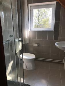 uma casa de banho com um WC, um lavatório e uma janela em Sopron Balf Panzio em Sopron