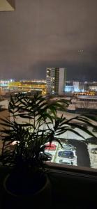 - une vue sur la ville la nuit depuis une fenêtre dans l'établissement Urban Alexa Home, à Braşov