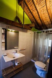 a bathroom with a toilet and a sink and a shower at Casa rural Patio del Maestro Puy du Fou a 20km in Totanés