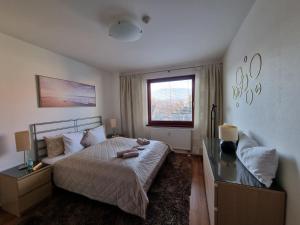 a bedroom with a bed and a desk and a window at Central business apartment - FREE PARKING in Martin