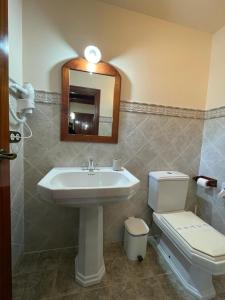 a bathroom with a sink and a toilet and a mirror at Casa de Costoia in Santiago de Compostela