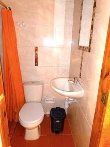 La petite salle de bains est pourvue de toilettes et d'un lavabo. dans l'établissement EL KACHI Hospedaje y Restaurante, à Uribia
