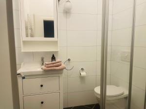 a bathroom with a toilet and a sink and a shower at Ferienwohnung in Groß-Gerau