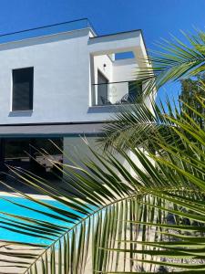 eine Palme vor einem weißen Haus in der Unterkunft Villa Lujo Porec Funtana in Funtana