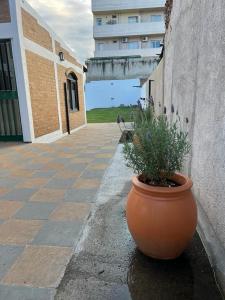 Budova, kde se apartmán nachází + 22 fotografií