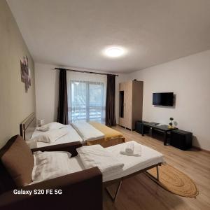 a hotel room with two beds and a television at Casa Krista in Bran