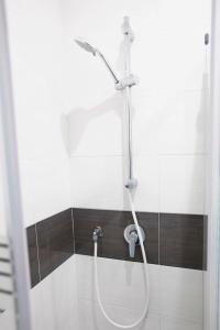 La salle de bains est pourvue d'une douche avec un tuyau. dans l'établissement Hall inn B&B in Chiostro, à Naples