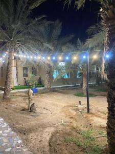 a man standing in a yard with palm trees at night at الريان للنزل الخضراء 