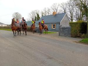 a group of people riding horses down a road at Fenniscourt Cottage in Carlow