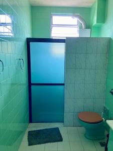 łazienka z niebieską toaletą i oknem w obiekcie São Salvador, Flamengo, 3 quartos w mieście Rio de Janeiro