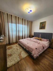 Apartament 3 camere Palas في ياش: غرفة نوم مع سرير مع لحاف وردي