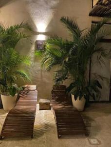 Un lugar para sentarse en Cssa Kareli Holbox