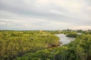 Un paisaje natural cerca de la habitación en casa particular