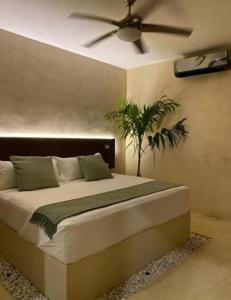 Una cama o camas en una habitación de Cssa Kareli Holbox
