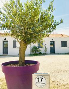 a tree in a large pot next to a clock at Boinot Lodge in Le Château-dʼOléron