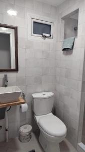 a white bathroom with a toilet and a sink at La Carmela Container house's in Esquel