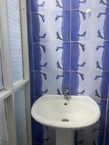 a sink in a bathroom with fishes on the wall at Izzy Guest House in Brikama