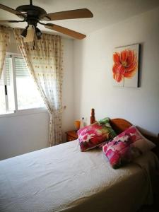 칼라 데 피네스트라트에 위치한 Nice accommodation with pool and side sea view에서 갤러리에 업로드한 사진