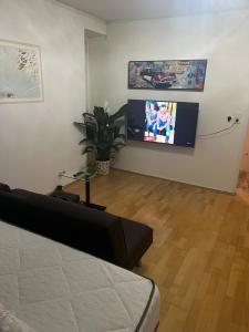 sala de estar con cama y TV de pantalla plana en Arbeiten Zimmer, en Linz