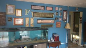 a blue wall with a fish tank in a room at Lil Black Bear Inn in Nashville