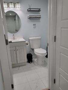 エドモントンにあるPansy Villeのバスルーム(トイレ、洗面台、鏡付)