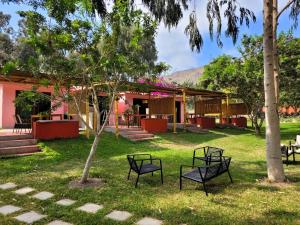 Zahrada ubytování Bungalows de Casa Verde + 62 fotografií