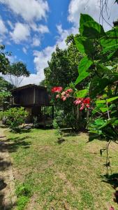ein Haus in einem Garten mit einem Baum in der Unterkunft Amazona Lodge in Leticia