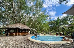 Bazén v ubytování ECOCAMPING JACAMAR nebo v jeho okolí