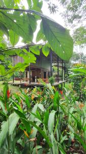 a building with large green leaves in a garden at Amazona Lodge in Leticia