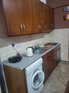 een keuken met een wasmachine en een wastafel bij Elenas Home in Limassol